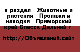  в раздел : Животные и растения » Пропажи и находки . Приморский край,Спасск-Дальний г.